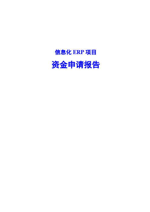 信息化项目资金申请报告