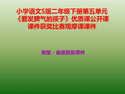 小学语文S版二年级下册第五单元《爱发脾气的孩子》优质课公开课课件获奖课件比赛观摩课课件B004