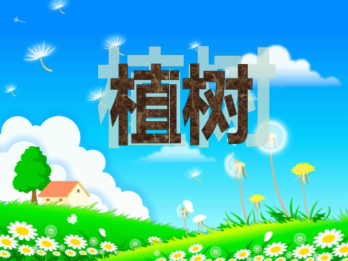 三年级上册数学课件- 4.4植树 ｜北师大版  (共31张PPT)品质课件PPT