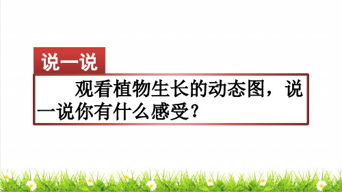 部编版四年级语文上册第三单元《习作：写观察日记》教学课件