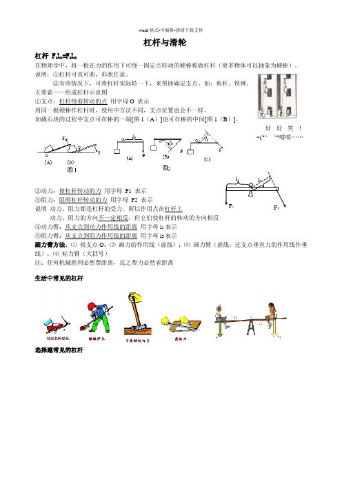 初中物理杠杆与滑轮基础知识复习资料