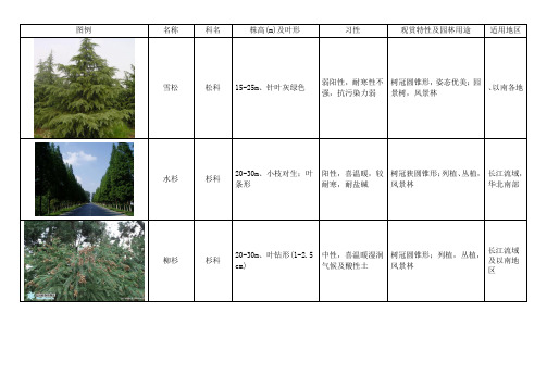 常用绿化植物种类图表格