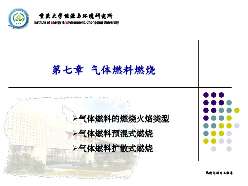 冉景煜版 工程燃烧学--第 07 章
