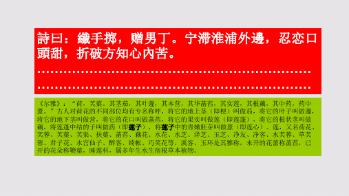 莲子赋第三段赏析【清代】史念祖骈体文