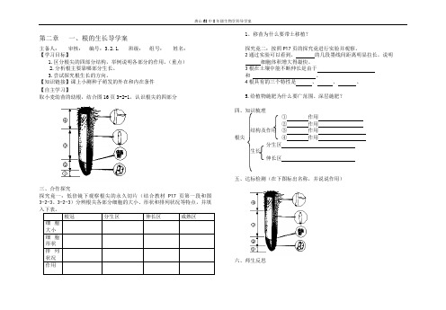 根的生长导学案