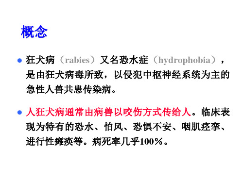 医学专题狂犬病诊治范例