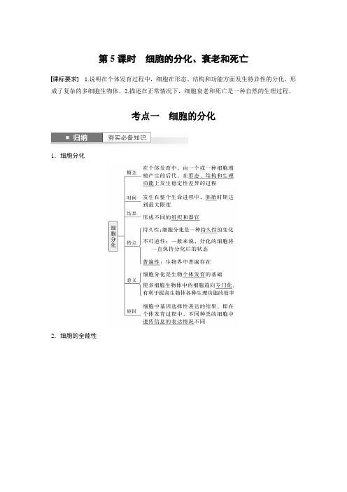 2024届高考一轮复习生物教案(新教材人教版鲁湘辽)：细胞的分化、衰老和死亡