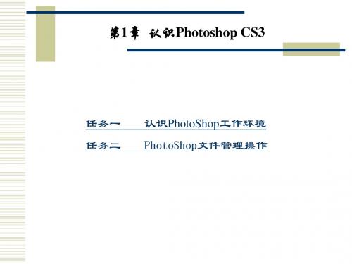 Photoshop CS3图形图像处理实用教程 作者 袁景超 第1章