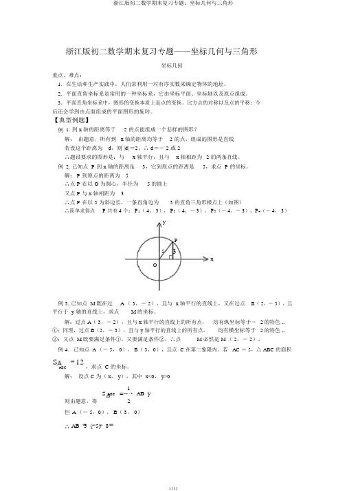 浙江版初二数学期末复习专题：坐标几何与三角形