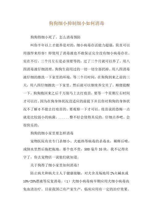 狗狗细小抑制细小如何消毒