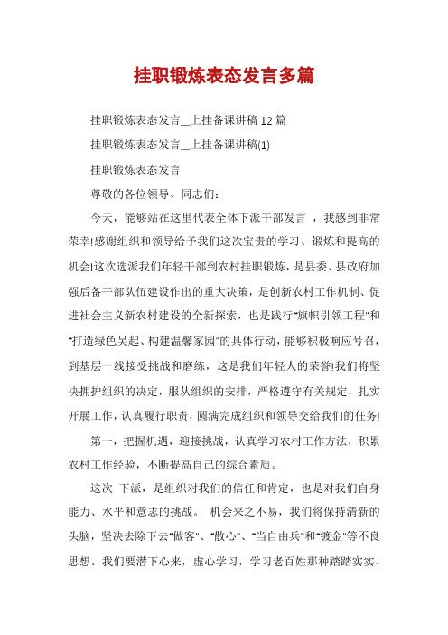 挂职锻炼表态发言多篇