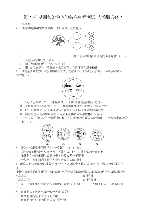 细胞分裂----单元测试人教版必修2.docx