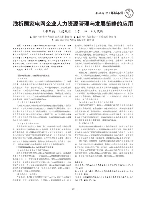 浅析国家电网企业人力资源管理与发展策略的应用