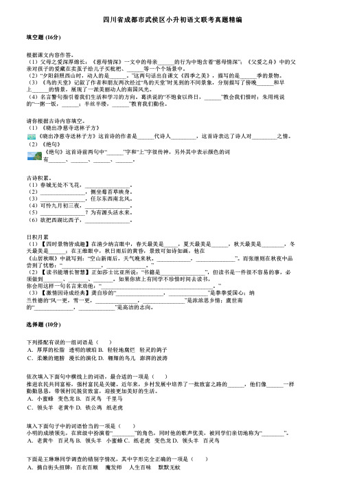 四川省成都市武侯区小升初语文联考真题精编