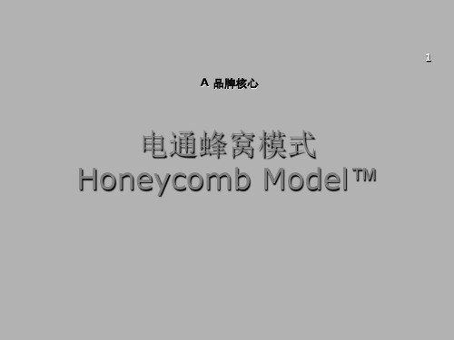 电通蜂窝模式HoneycombModel