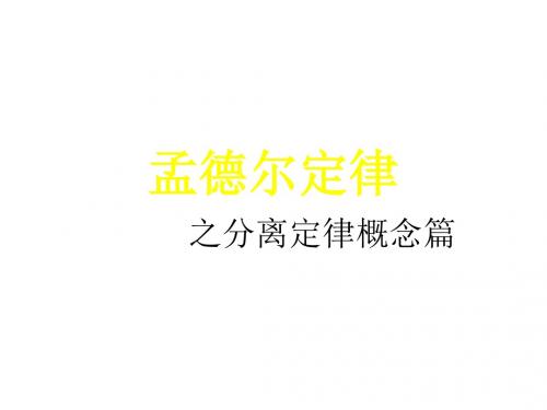 高一生物分离定律概念
