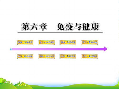 中考生物学第一轮复习资料 第三单元第六章免疫与健康课件 济南版