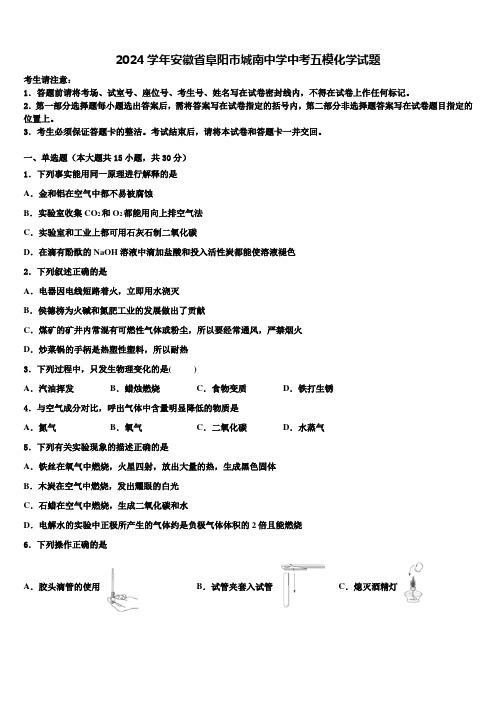 2024届安徽省阜阳市城南中学中考五模化学试题含解析