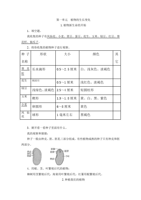 三年级下册科学练习册第一单元解答-教科版