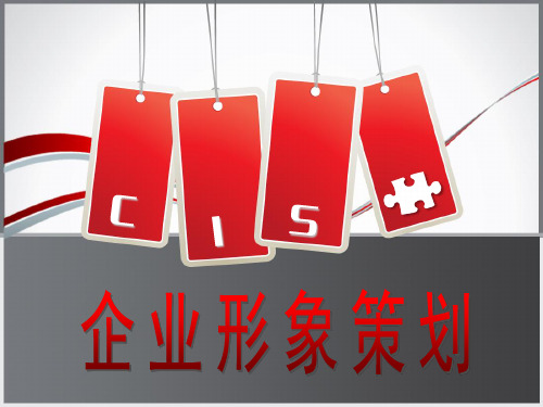 CIS企业形象策划——VI基础系统