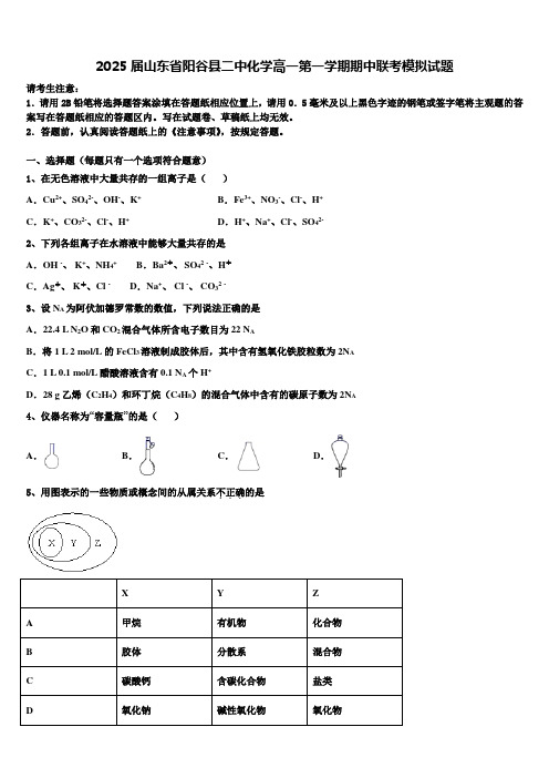 2025届山东省阳谷县二中化学高一第一学期期中联考模拟试题含解析