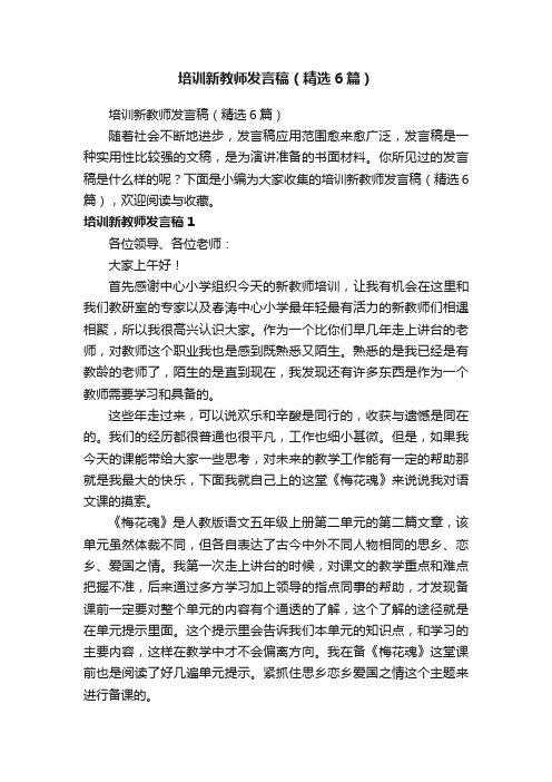 培训新教师发言稿（精选6篇）