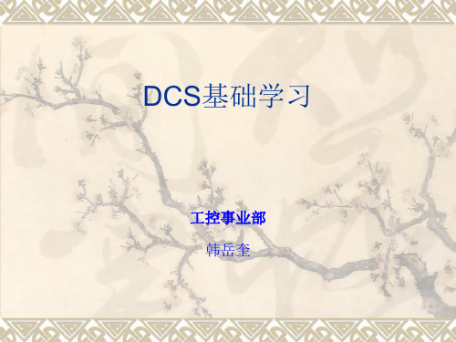 DCS学习课件