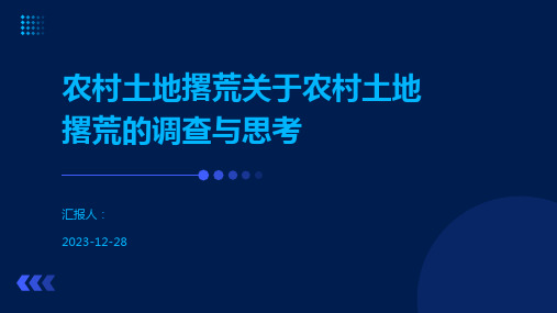 农村土地撂荒关于农村土地撂荒的调查与思考