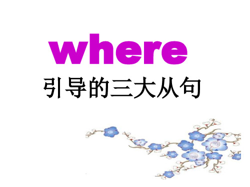 where引导的各种从句