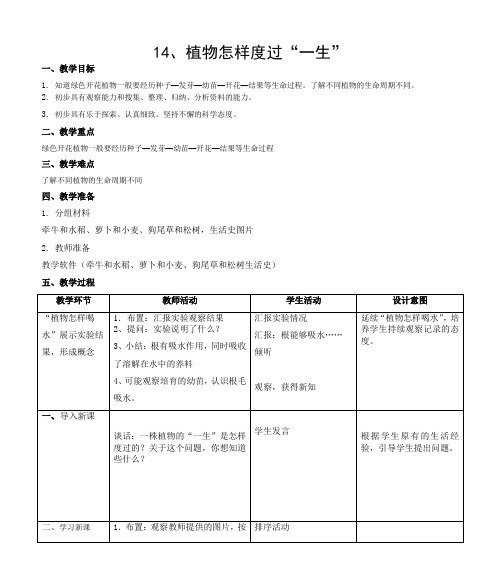 植物怎样度过一生