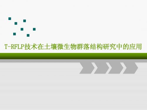 T-RFLP技术在土壤微生物群落结构研究中的应用