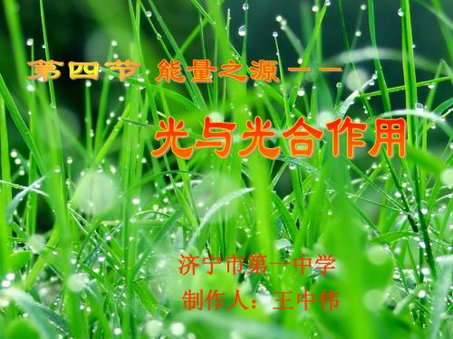 人教版教学课件光合作用的课件(济宁市第一中学王中伟)