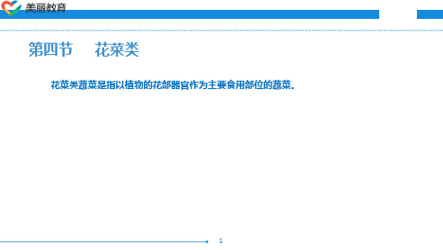 中职教育-烹饪原料知识(第三版劳动版)课件：第二章 蔬菜类原料(三).ppt