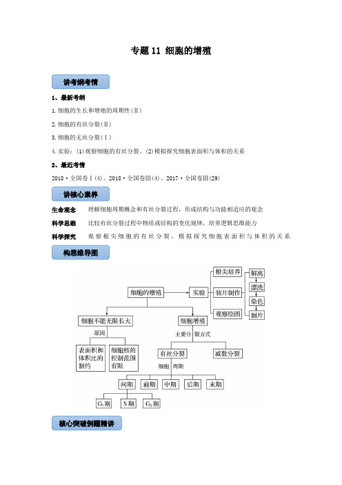 2021届高三高考生物一轮复习专题11 细胞的增殖(讲)【含答案】