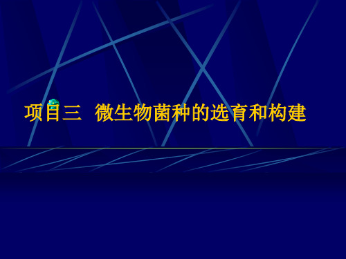 第二章菌种选育与构建