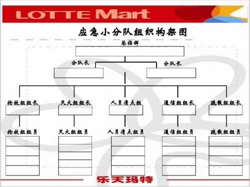 应急小分队组织构架图
