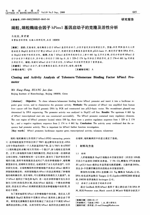 端粒、端粒酶结合因子hPinxl基因启动子的克隆及活性分析