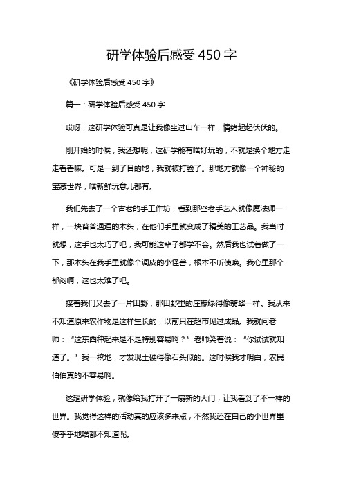 研学体验后感受450字