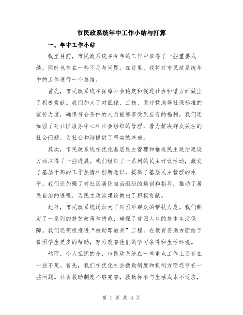 市民政系统年中工作小结与打算