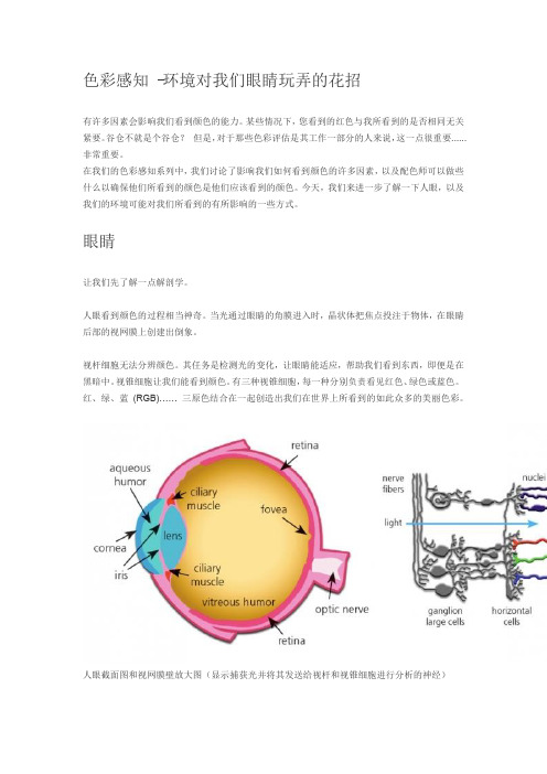 环境对色彩感知的影响