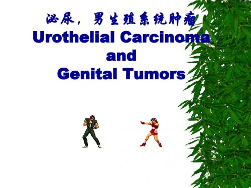 泌尿,男生殖系统肿瘤UrothelialCarcinomaandGenitalTumors