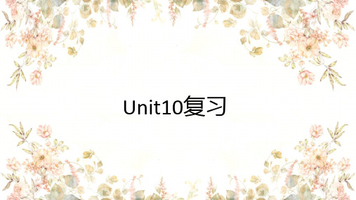 1-10单元复习课件-人教版初中英语八年级上册