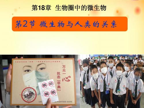 北师大版生物八年级上册18章2节微生物与人类的关系精品课件