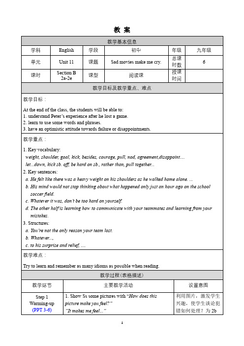 人教版英语九年级下册教案Unit 11 Section B 2a-2e