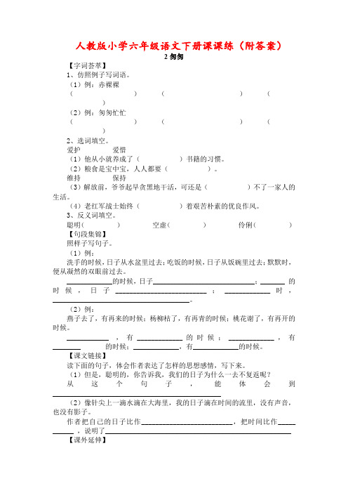 人教版小学六年级语文下册课课练《匆匆》(附答案)