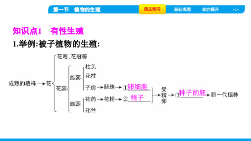 2022人教版八年级下册生物第七单元生物圈中生命的延续和发展第一章生物的生殖和发育 第一节植物的生殖