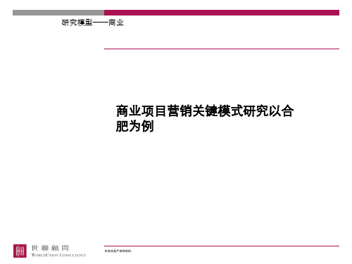 世联研究模型商业项目营销关键模式研究以合肥为例PT