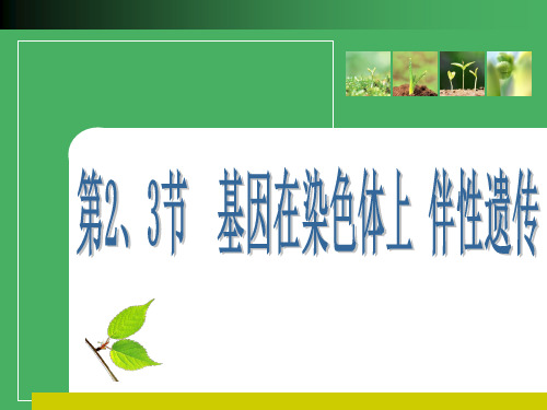 2012高考生物一轮复习优化方案课件：必修2二章2、3节