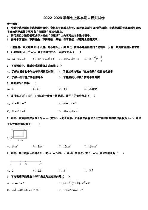 吉林省长春市东北师大附中明珠学校2022年七年级数学第一学期期末质量检测模拟试题含解析