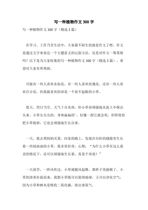 写一种植物作文300字
